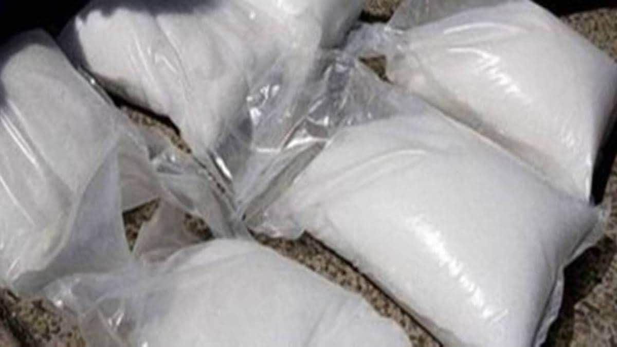 govandi Shivaji Nagar Police arrested two drug smugglers and seized 240 bottles of Codeine syrup