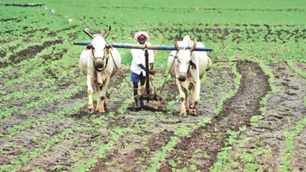 raigad collector recommended increasing compensation for farmers affected by virar alibag aorridor