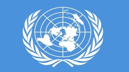 united nation International Year of Cooperatives