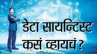 data scientist