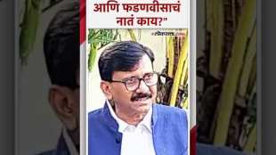 sanjay raut criticized mahayuti and devendra fadanvis over maharashtra politics