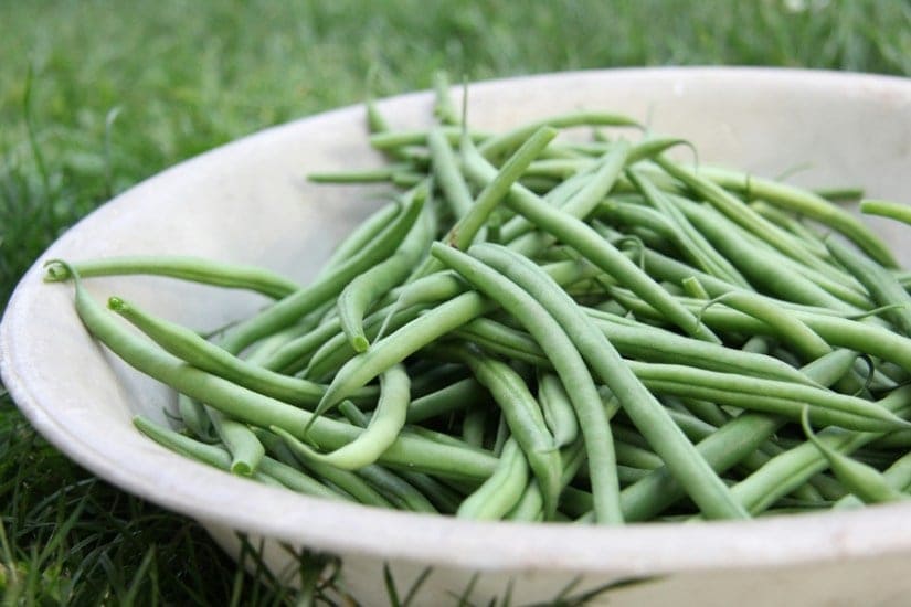 green beans