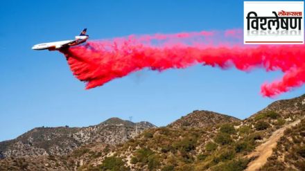 pink powder on los angeles