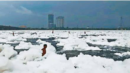 yamuna revier