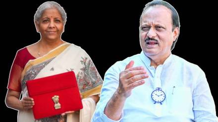 Ajit pawar on union budget 2025