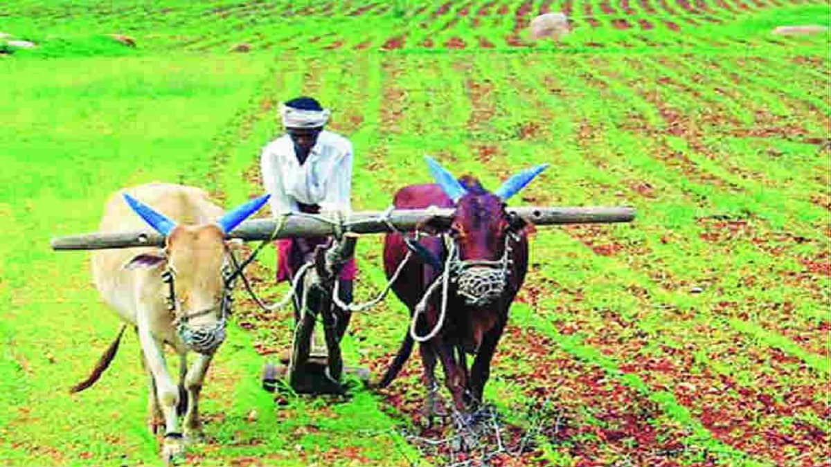 nanded shaktipeeth affected farmer attempts suicide