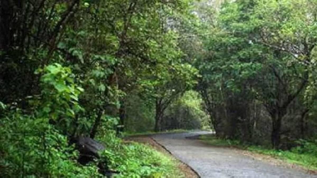Mumbai Study reveals alarming condition of Sanjay gandhi national Park forest vital for Mumbais biodiversity