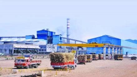 Maharashtra Sugar Industry, Sugarcane Cutting,