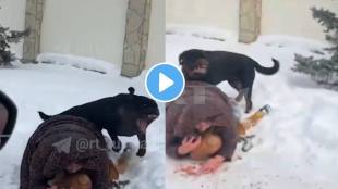 Mom shields her 5yo kid with her OWN body to protect from Rottweiler attack shocking video goes viral