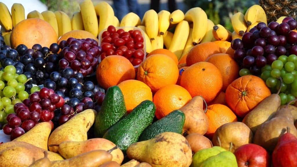 fruits export clusters