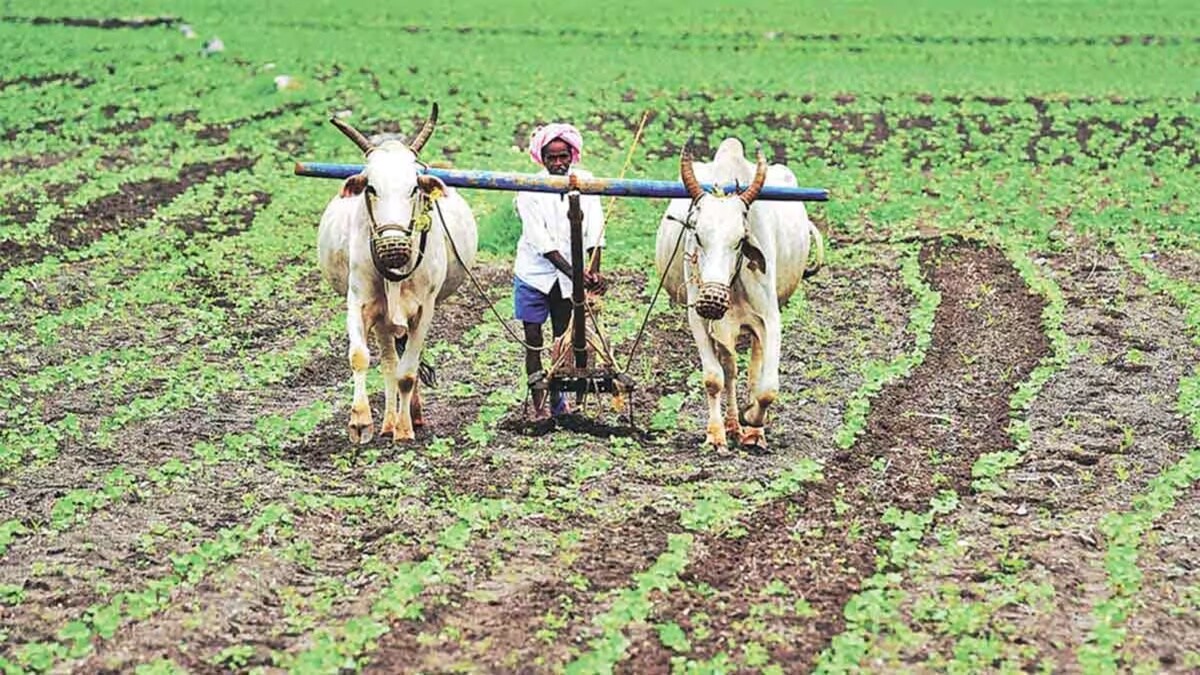agri stack loksatta news,