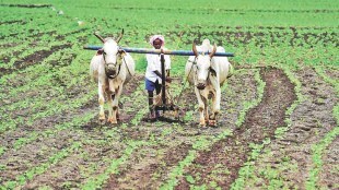 agri stack loksatta news,