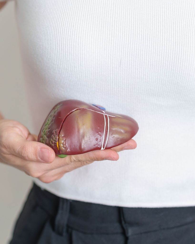 Liver health