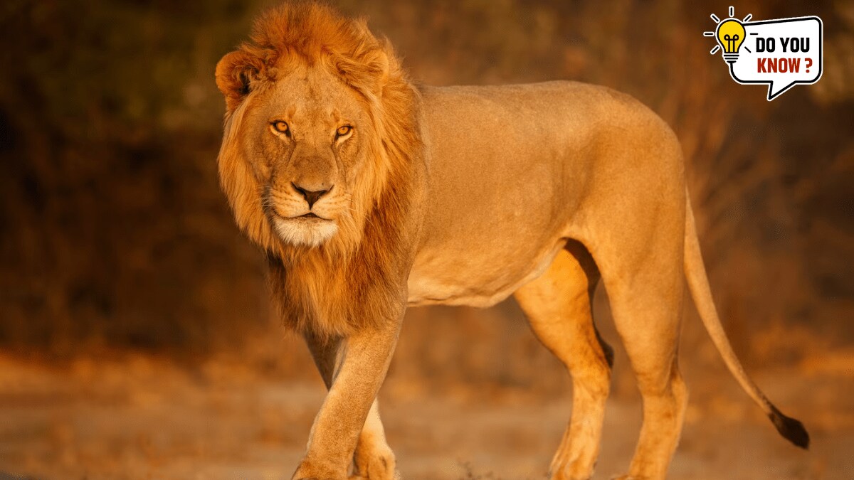 5 animals that eat their offspring