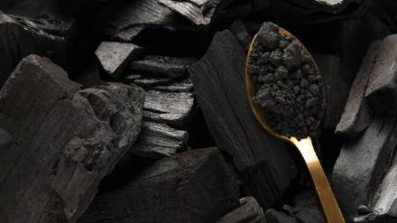 Is charcoal polluting or eco-friendly High Court orders MPCB to decide