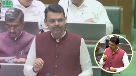 CM Devendra Fadnavis speaking on the Indian Constitution during the Maharashtra Assembly Budget Session.