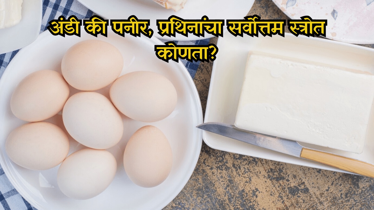 Egg Or Paneer Which Is The Better Source Of Protein