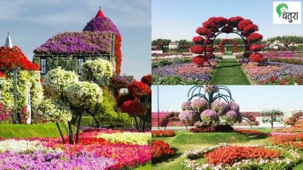 Nisargalipi preperation before creating garden