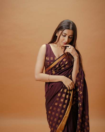 Gauri Nalawade Brown Saree Look