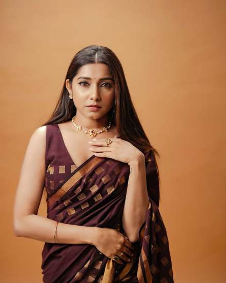 Gauri Nalawade Brown Saree Look
