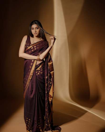 Gauri Nalawade Brown Saree Look