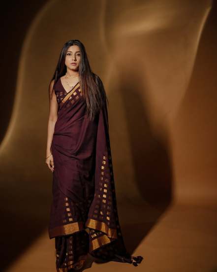 Gauri Nalawade Brown Saree Look