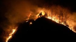 South Korea Wildfire Video : दक्षिण कोरियामध्ये वणव्याचा भडका! मृतांचा आकडा पोहोचला २७ वर; आगीचे भीषण Video आले समोर