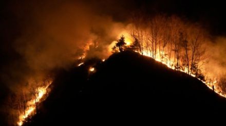 South Korea Wildfire