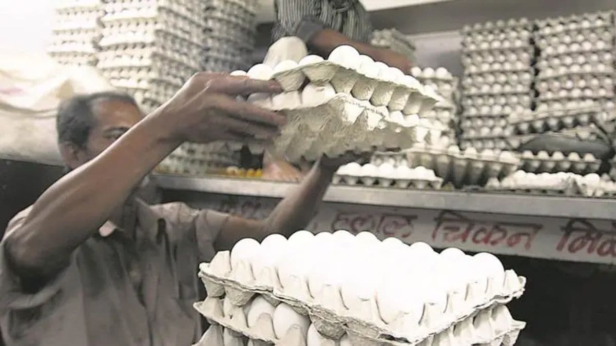 Tax Notice to Egg seller