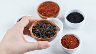 Tips to check adulteration in raw black peppercorn
