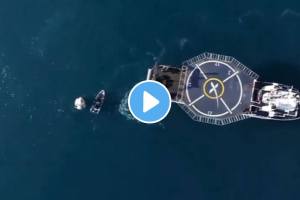 Sunita Williams landed in the sea off florida many dolphins were swimming around her video goes viral