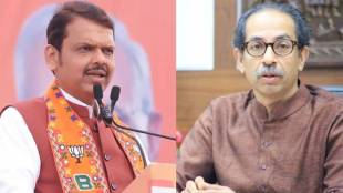 Devendra Fadnavis On Uddhav Thackeray :