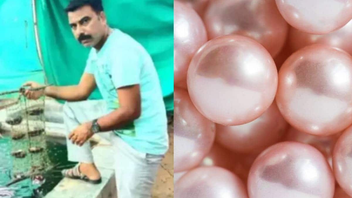Success Story Narendra Kumar Girwa