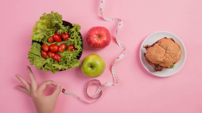 411 Body Fat Loss Diet