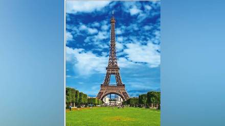 Higher education, France, education,