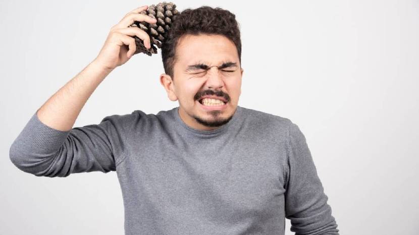 These remedy will be beneficial to grow new hair