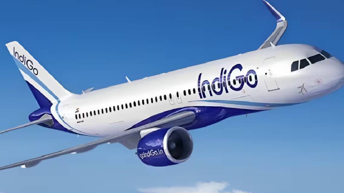 Indigo Airline