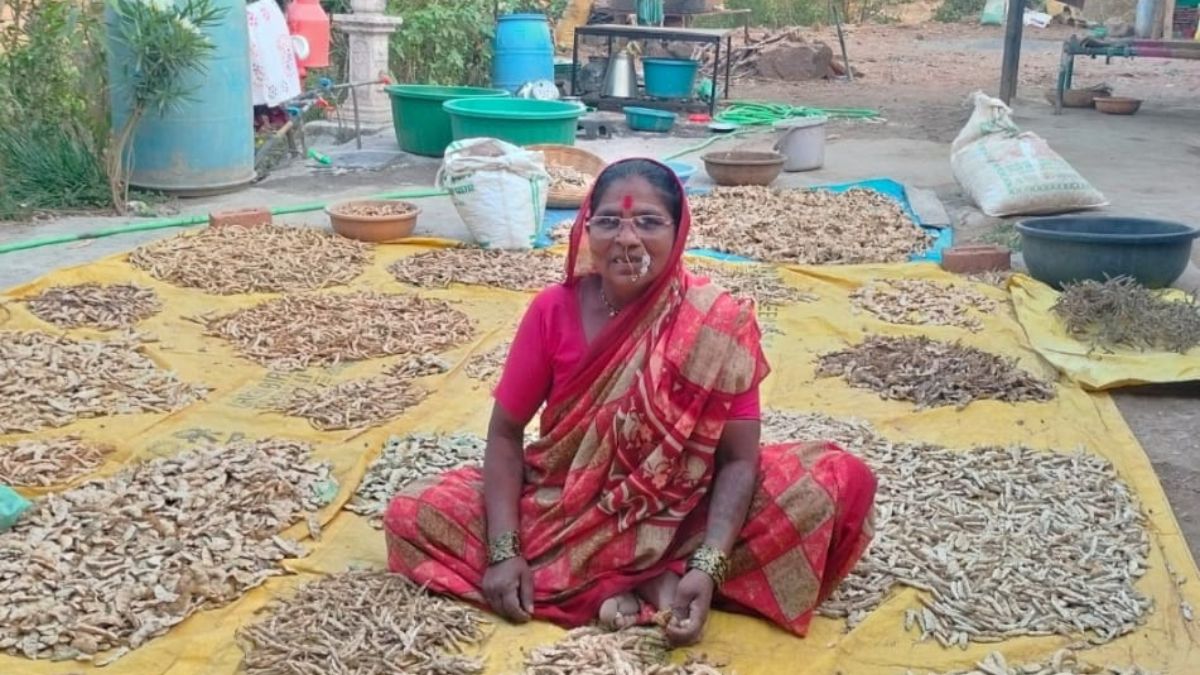 beej mata Rahibai Popre is busy in producing village seeds
