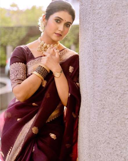 Rinku Rajguru Brown Banarasi Saree Look