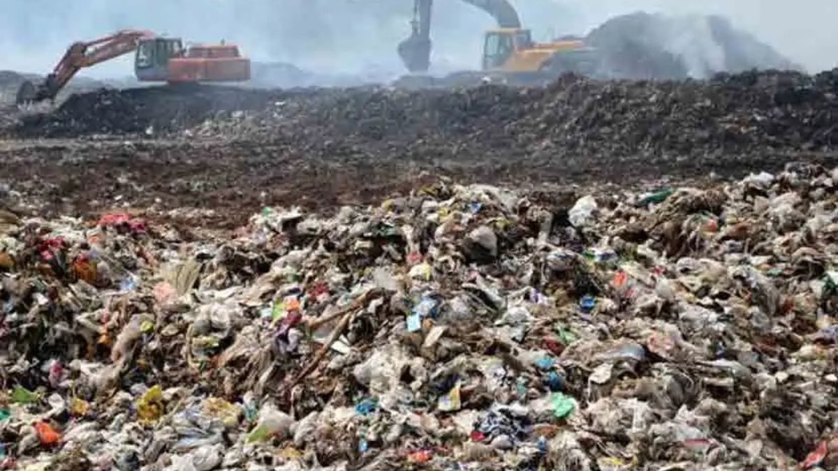 Solid waste management collapsed due to lack of policy