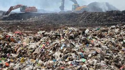 Solid waste management collapsed due to lack of policy