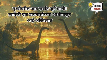 he eight oldest animals on Earth These species have been alive for millions of years one of them existed before the dinosaurs
