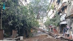 रस्ते काम झाडांच्या मुळावर! तब्बल २४१३ झाडांचे नुकसान