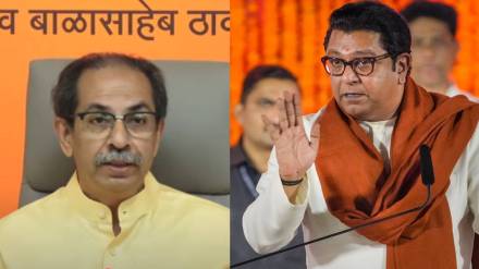 What Uddhav Thackeray Said About Raj Thackeray?
