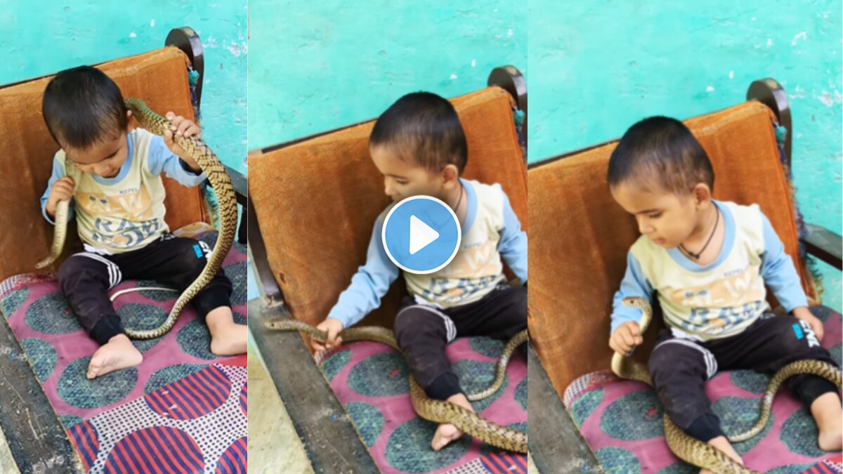 Small Boy Playing with Snake Viral Video