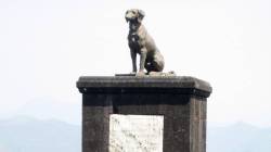 Waghya Statue Controversy : रायगडावरील वाघ्या कुत्र्याच्या समाधीबाबत इतिहाकारांचं म्हणणं काय?