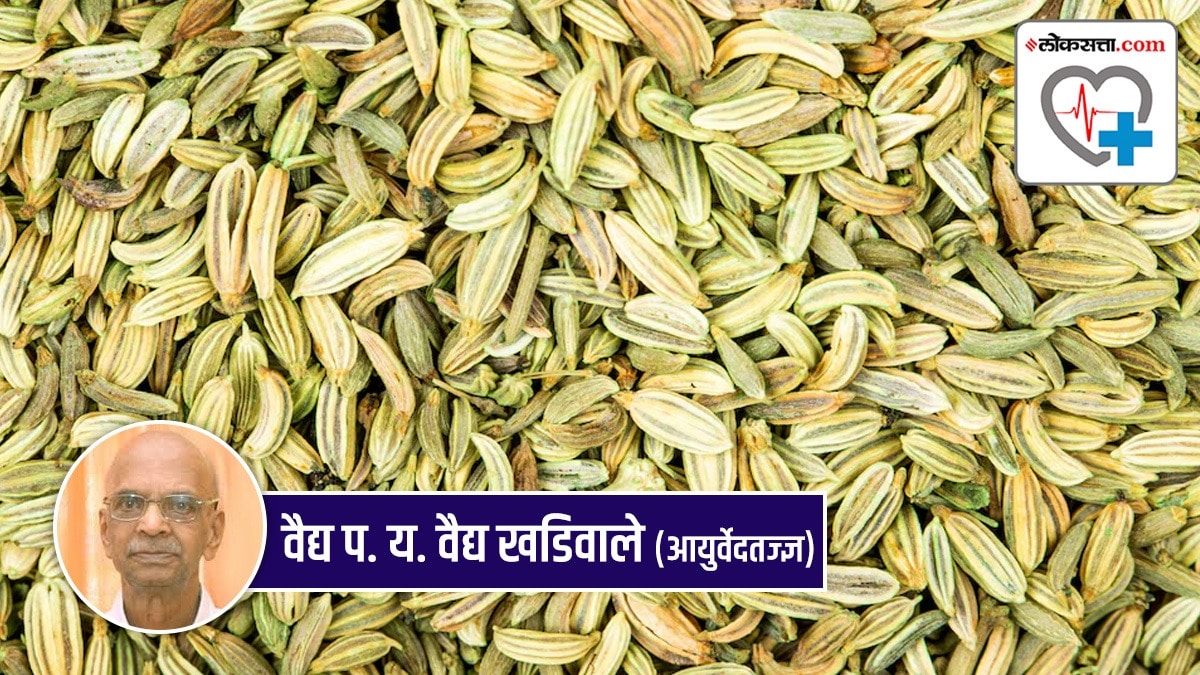 Fennel