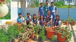 शाळेच्या गच्चीवर बाग फुलविण्याचा प्रयोग…