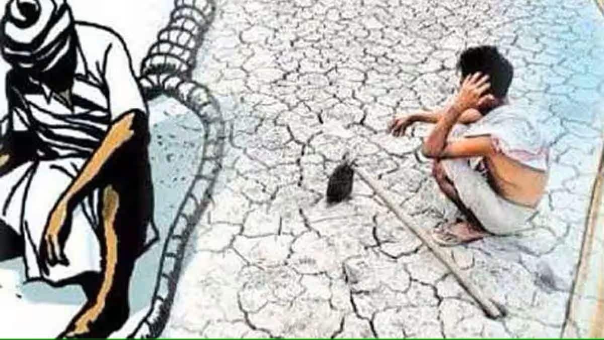 farmers suicide loksatta article