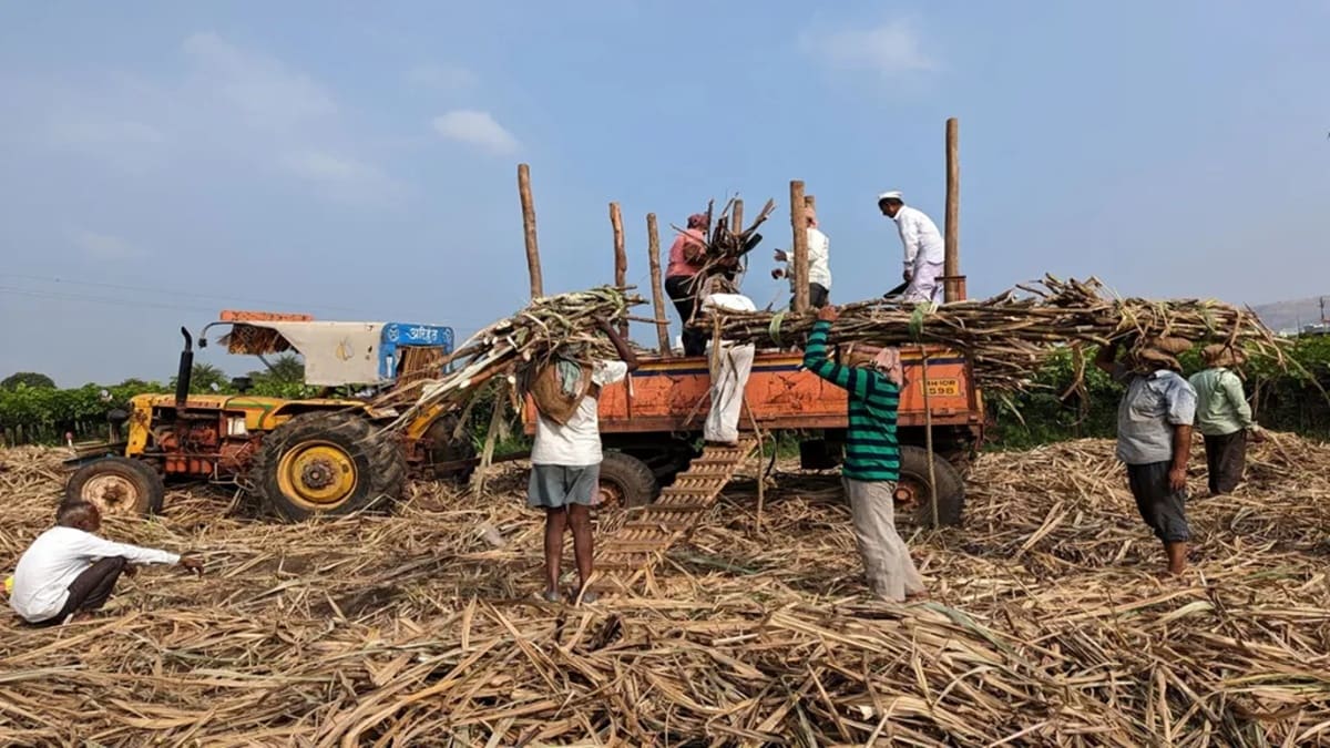 sugar factories outstanding FRP